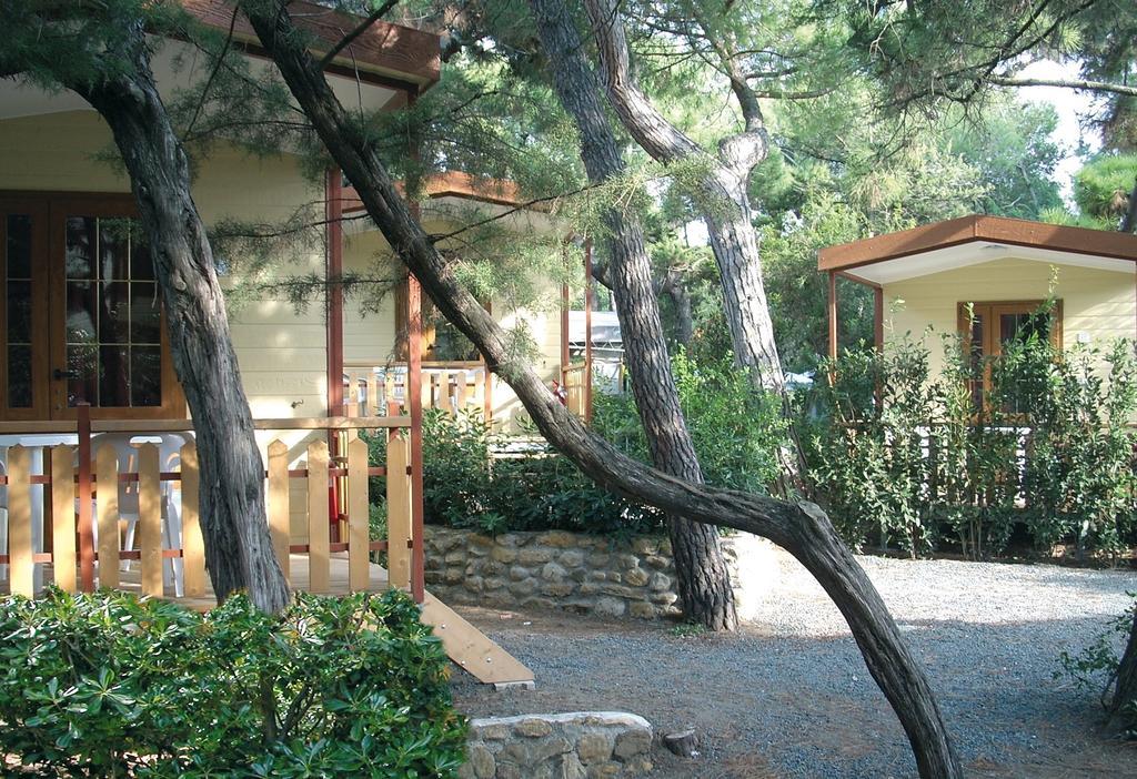 Le Esperidi Camping Ecoresort Marina Di Bibbona Cameră foto
