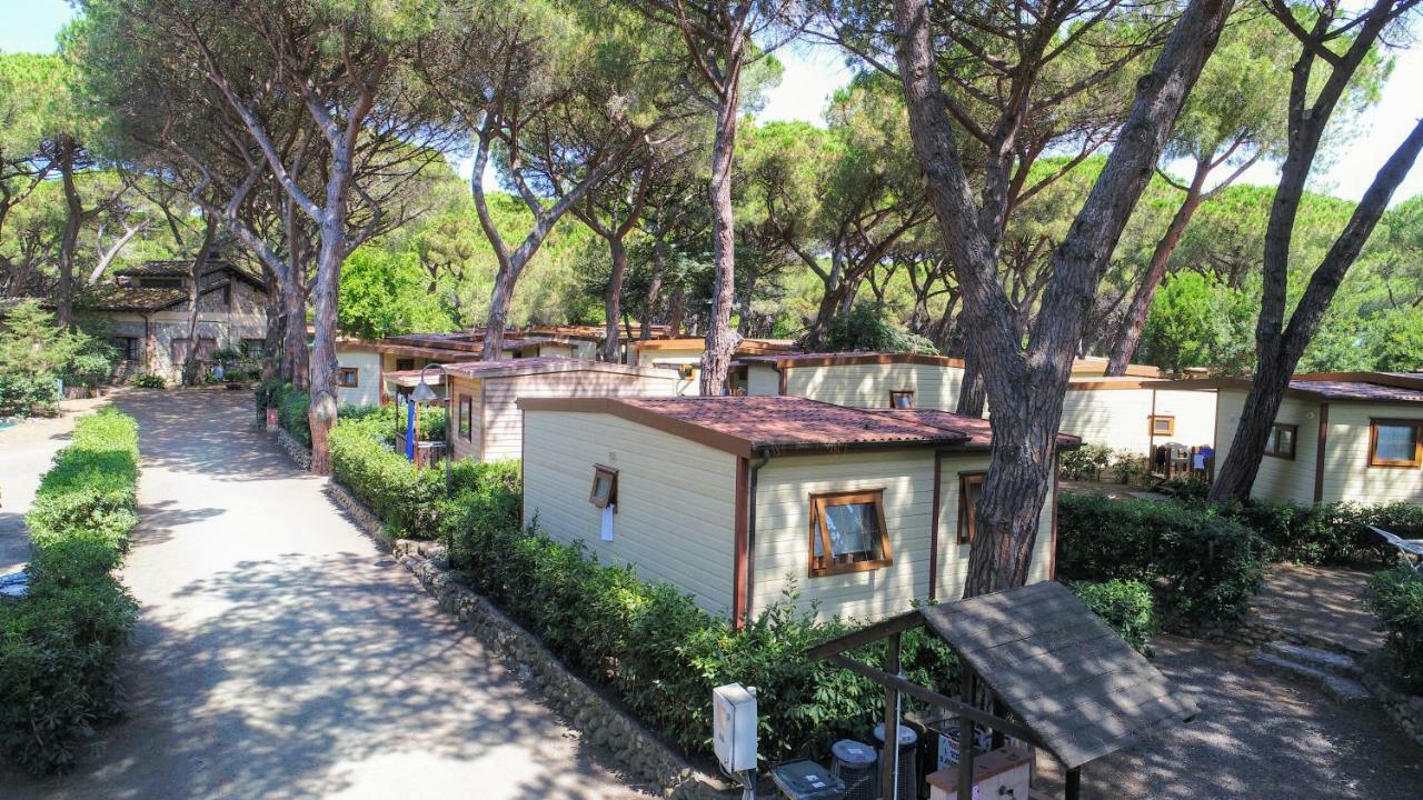 Le Esperidi Camping Ecoresort Marina Di Bibbona Exterior foto